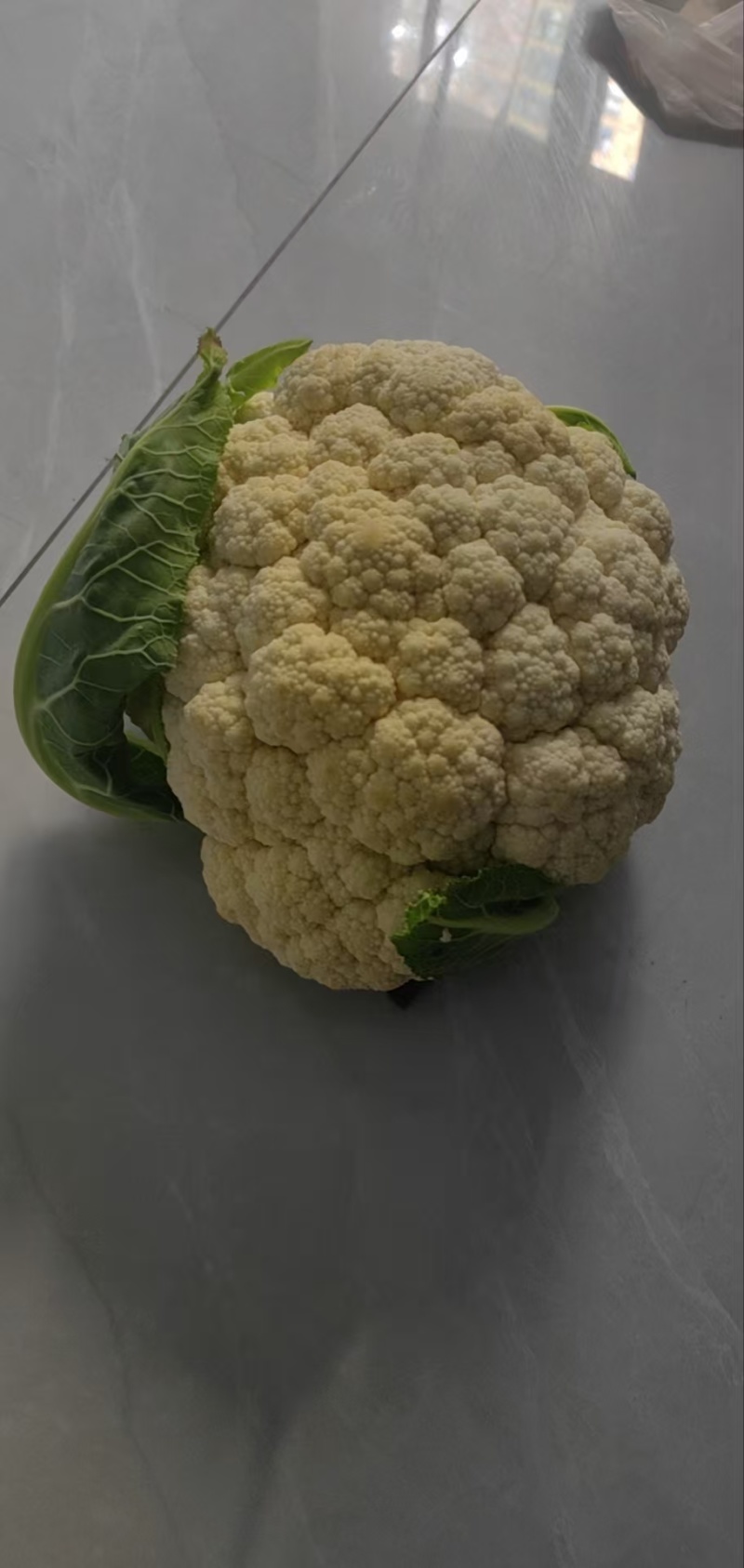 精选花菜浙江精选有机花菜自家种植量大从优