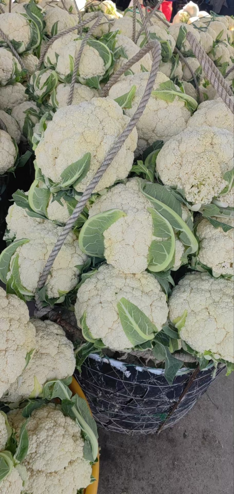 精选花菜浙江精选有机花菜自家种植量大从优