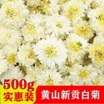 黄山白菊花贡花茶七月菊草茶杞枸菊花茶白菊花草茶