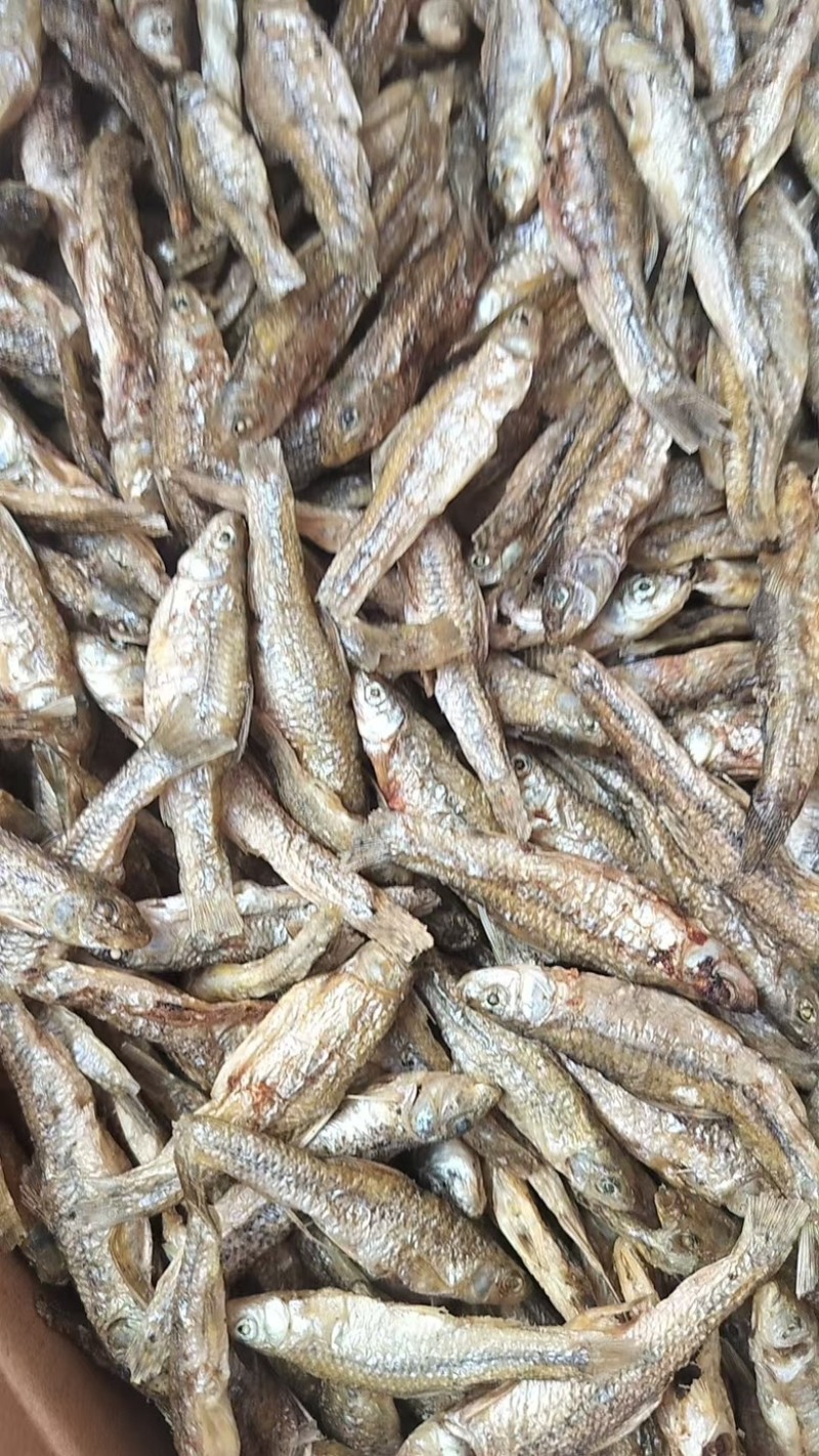 麦穗鱼干微山湖特产一手货源品质保障