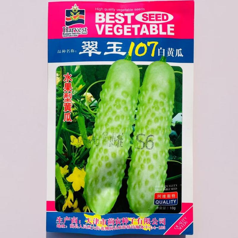 翠玉107白黄瓜种子强雌型水果白黄瓜种子口感清脆瓜味香浓