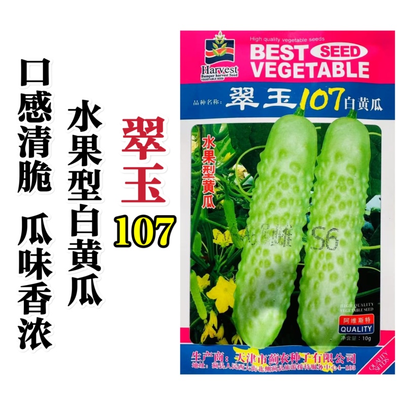 翠玉107白黄瓜种子强雌型水果白黄瓜种子口感清脆瓜味香浓
