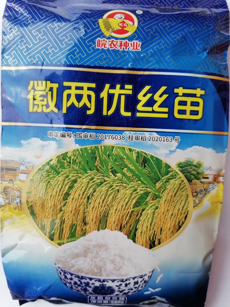 徽两优丝苗种子，国审稳产高产耐肥抗倒米质好分蘖强