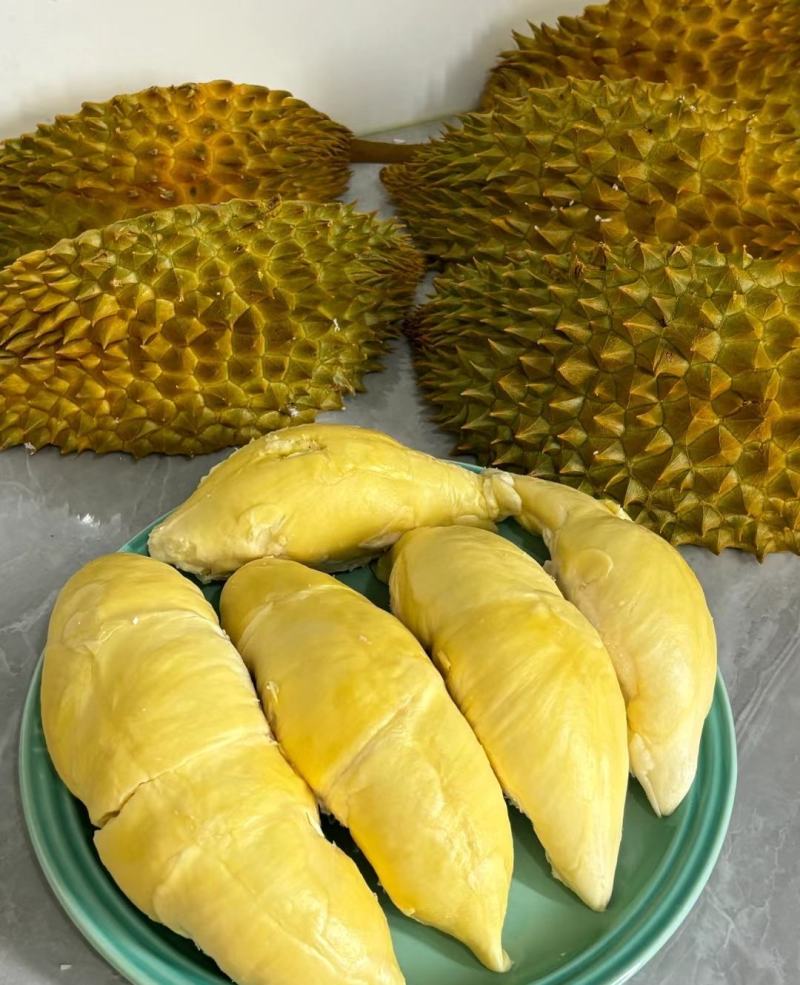 金枕榴莲一手批发价格，A果保5房，坏果包赔，货到付款