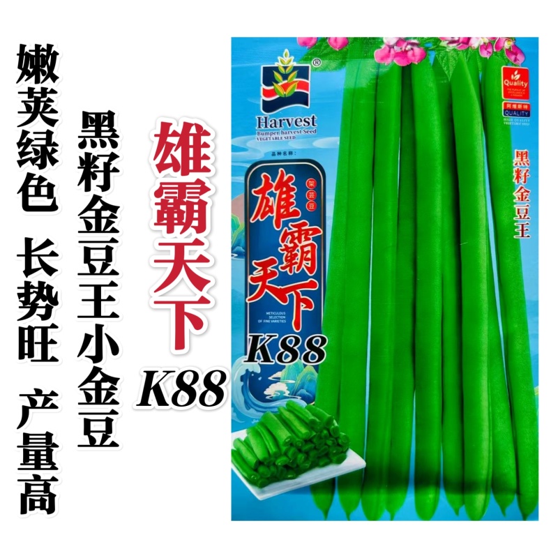 雄霸天下小金豆种子无筋架豆四季豆种子黑籽小金豆角种籽抗病
