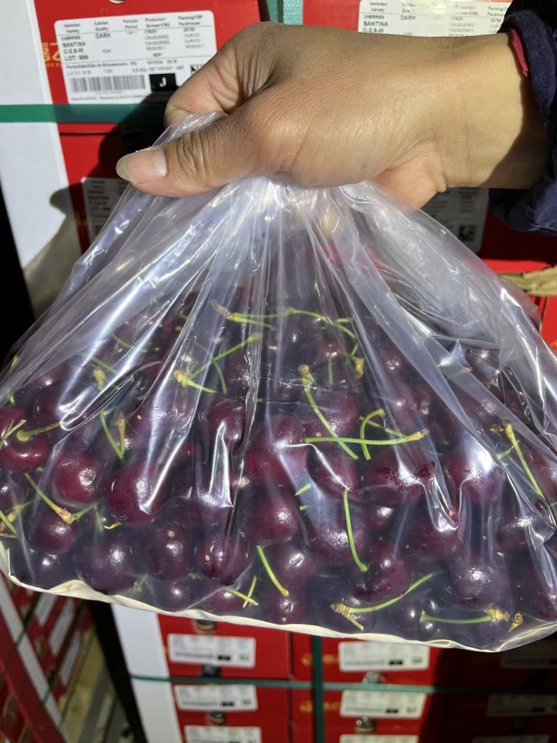 车厘子产地直发品质保证价格美丽一手货源