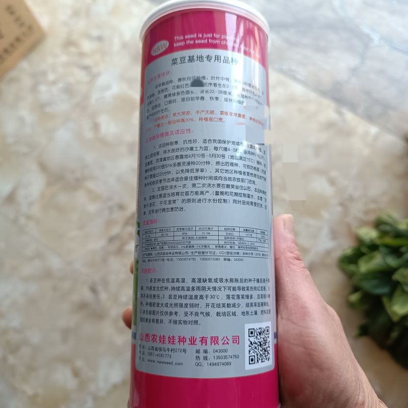 中国红中早熟紫红芸豆种籽丰产菜豆基地