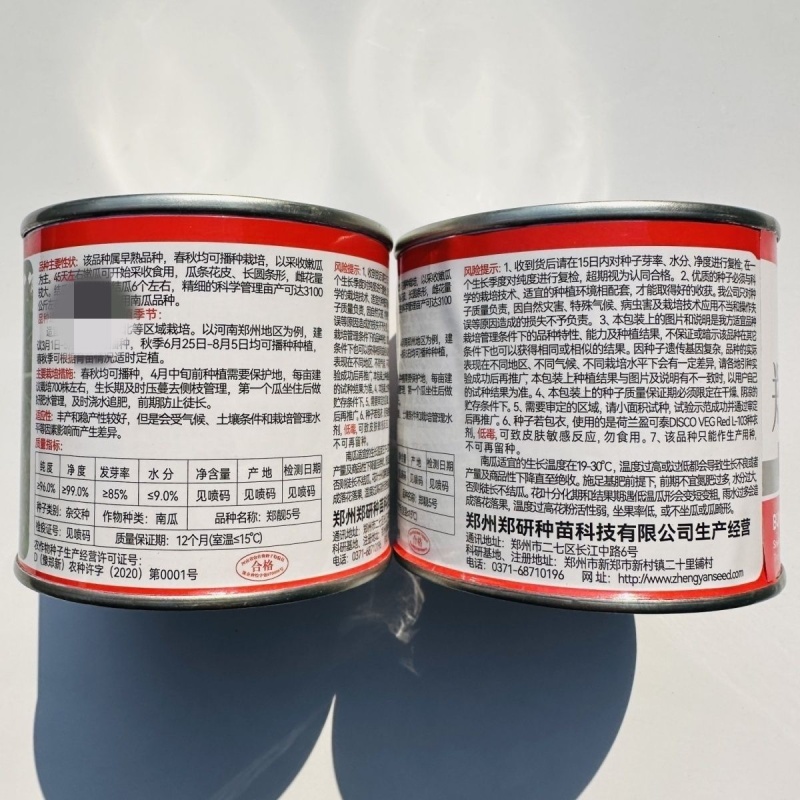 郑靓5号菜用南瓜种子早熟长圆条形南瓜春秋七叶早花皮菜南瓜