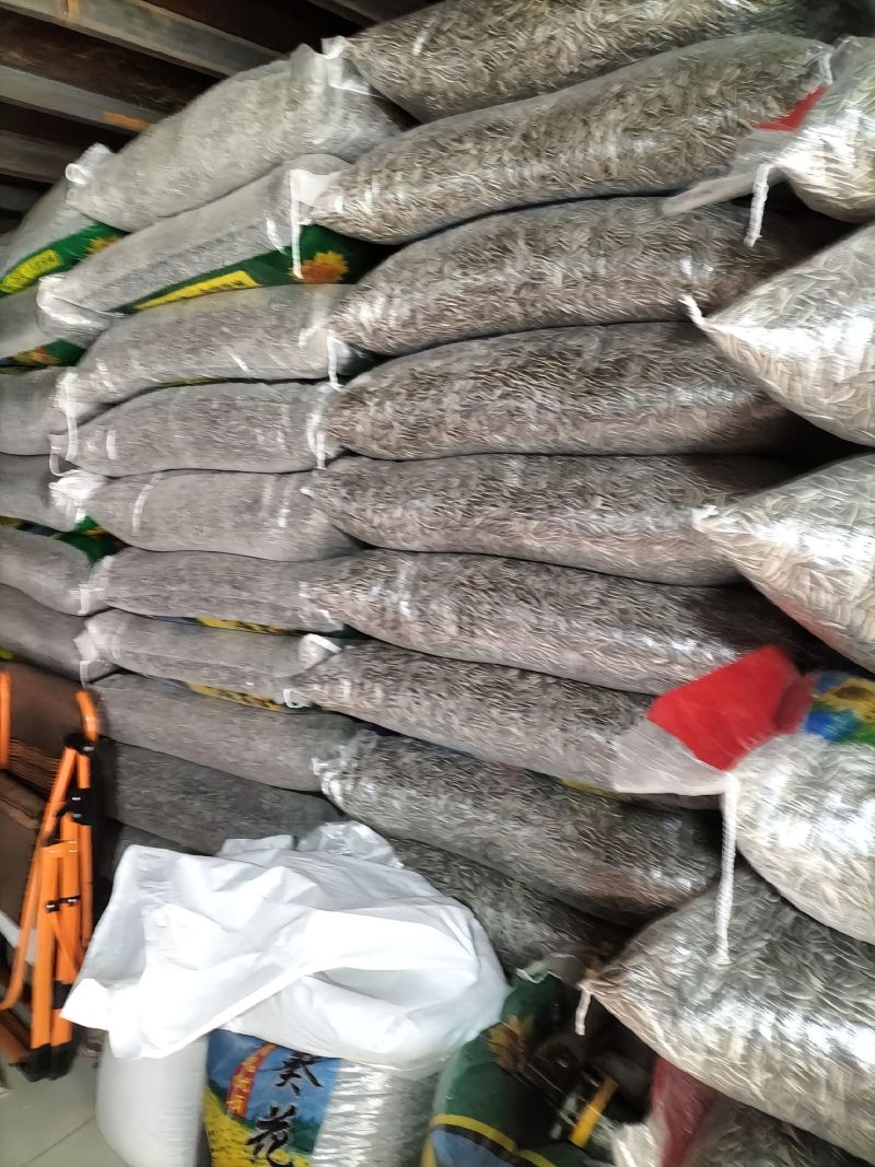 葵花籽生熟都有品质新货一手货源大量现货价格美丽