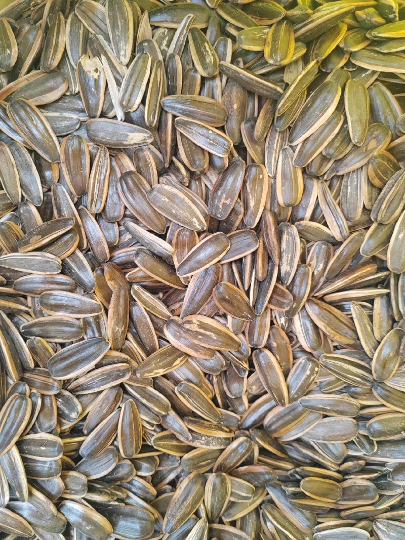 葵花籽生熟都有品质新货一手货源大量现货价格美丽