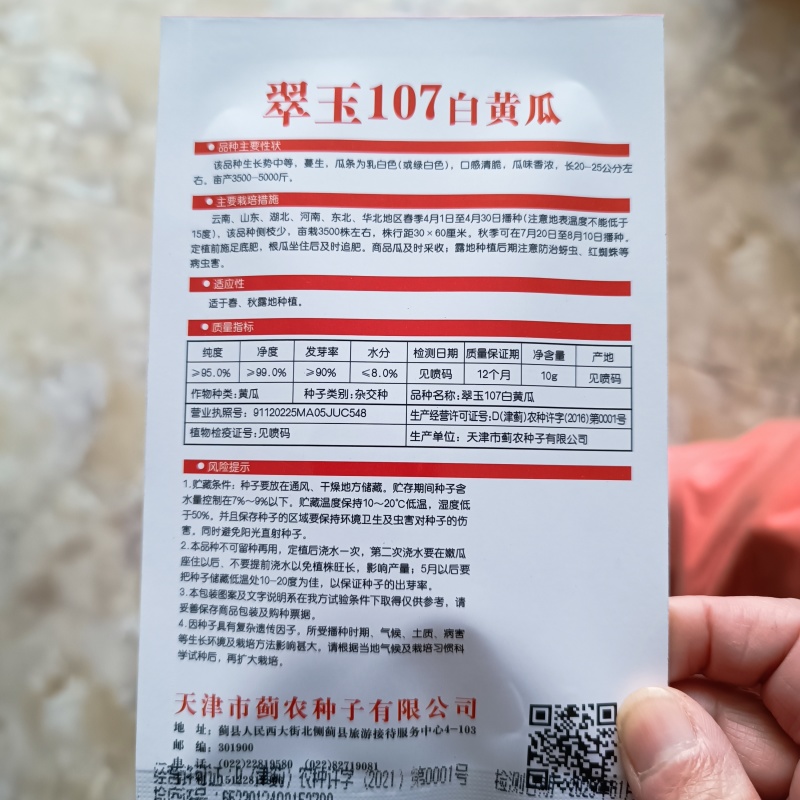 翠玉107白黄瓜种子强雌型水果白黄瓜种子口感清脆瓜味香浓