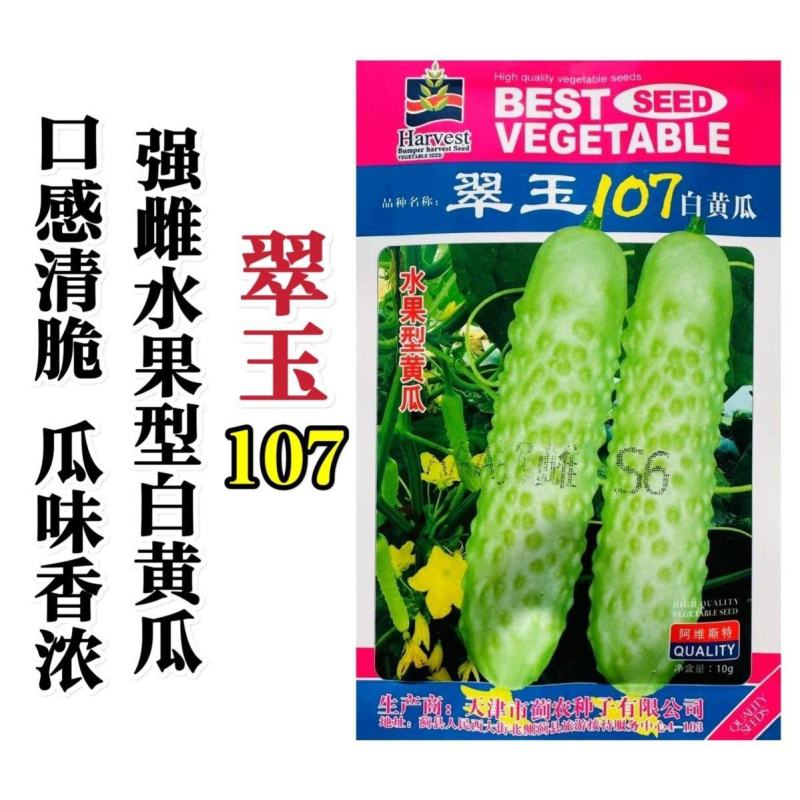 翠玉107白黄瓜种子强雌型水果白黄瓜种子口感清脆瓜味香浓