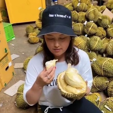 金枕榴莲一手批发价格，A果保5房，坏果包赔，货到付款
