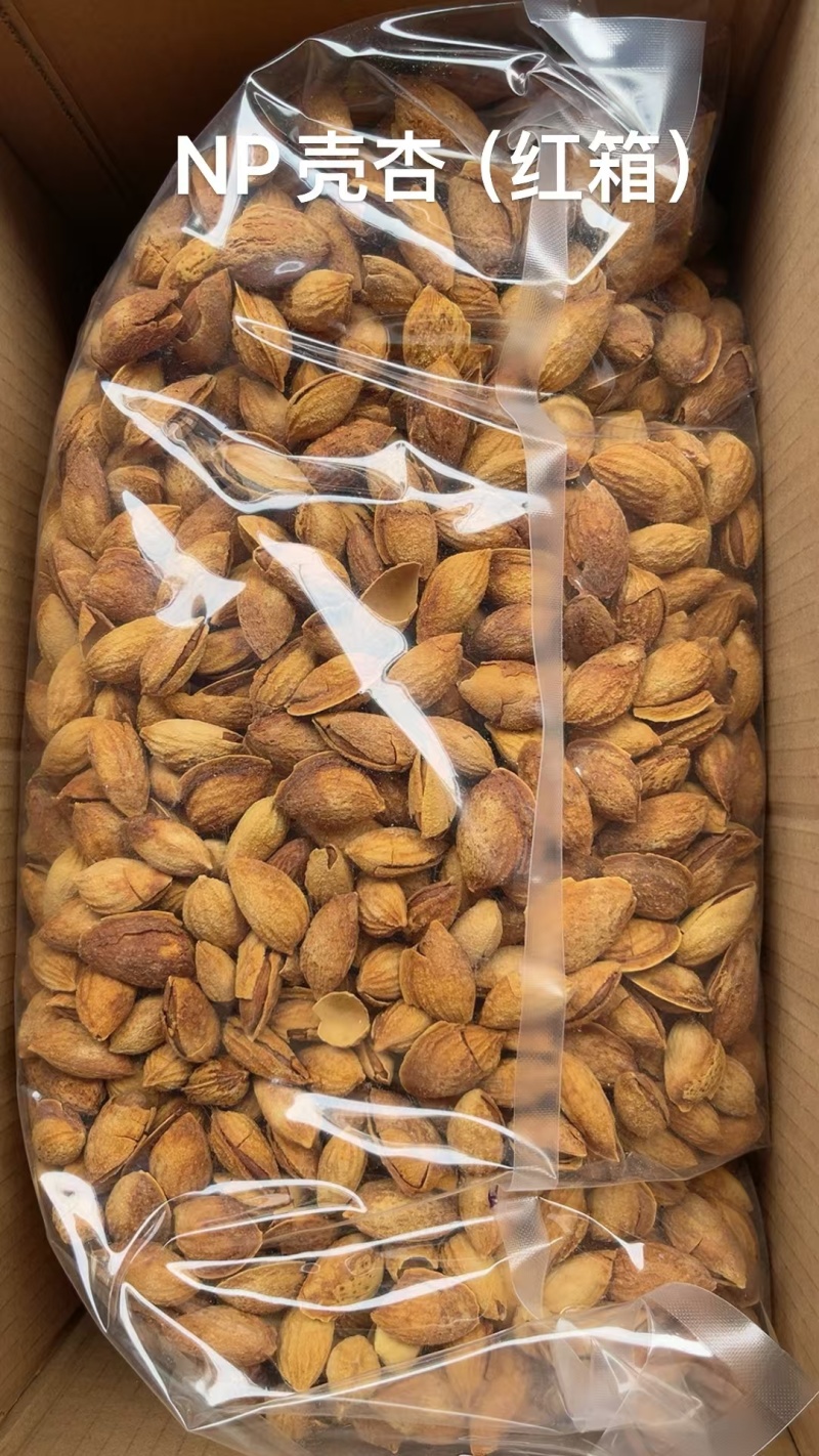 巴旦木新货干货批发一手货源大量现货产地直发