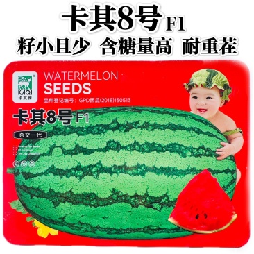 卡其8号F1西瓜种子耐重茬抗枯萎小籽石头西瓜种子椭圆大果