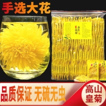 金丝皇菊一朵一杯礼盒装独立包装大花非清热去火黄菊决明子茶