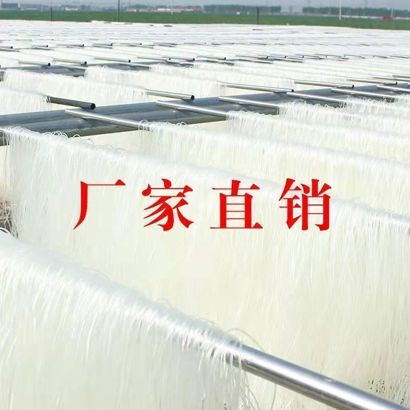 精龙口工艺粉丝100g火锅扇贝锡纸花甲粉丝酸辣速食粉丝