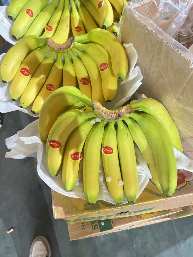 香蕉品质二黄价格亲民一手货源大量现货产地直发