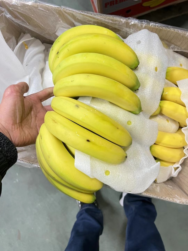 香蕉品质二黄价格亲民一手货源大量现货产地直发
