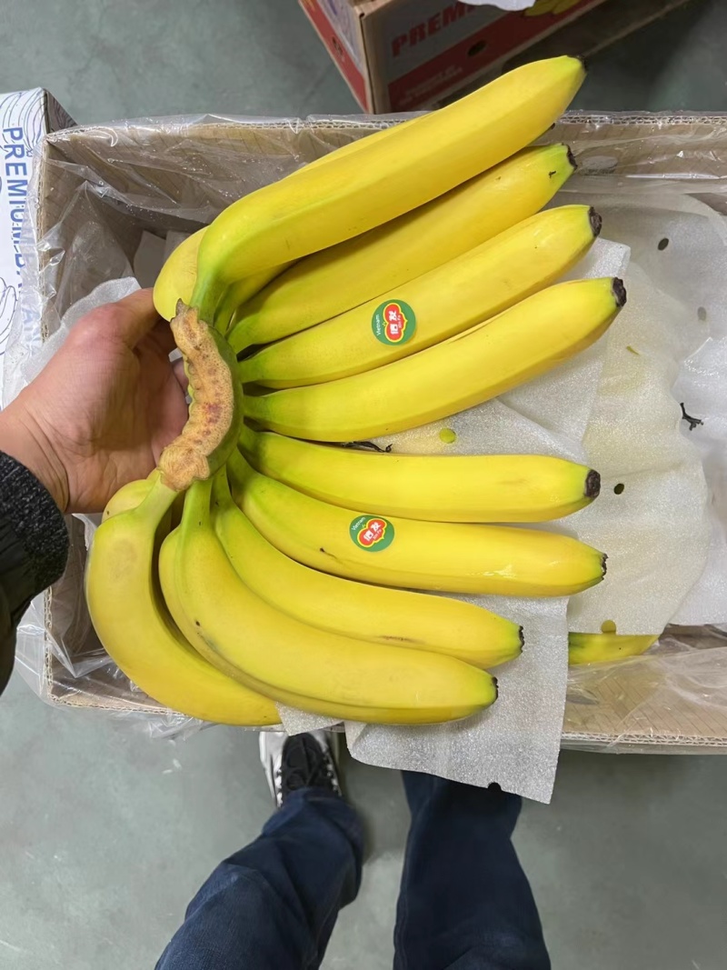 香蕉品质二黄价格亲民一手货源大量现货产地直发