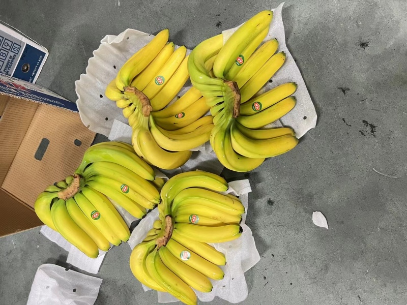 香蕉品质二黄价格亲民一手货源大量现货产地直发