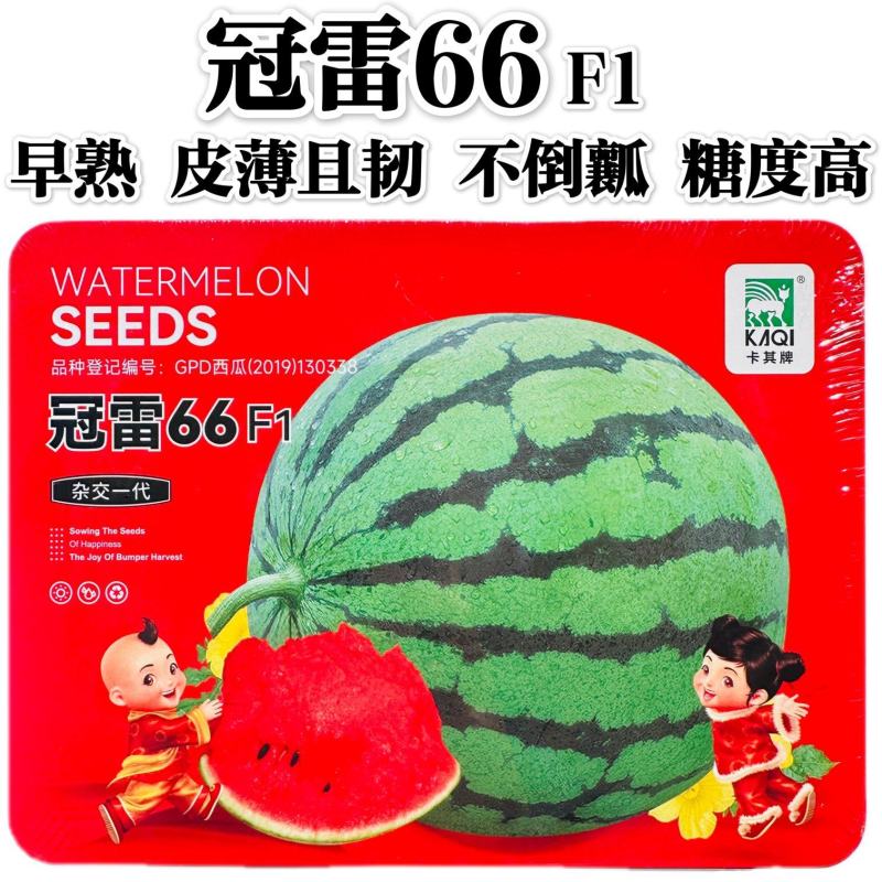 冠雷66西瓜种子薄皮糖度高耐裂西瓜种籽甜脆多汁皮薄酥脆