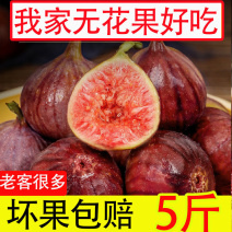 无花果新鲜水果鲜果现摘精选红皮紫皮孕妇小孩不常见水果整箱