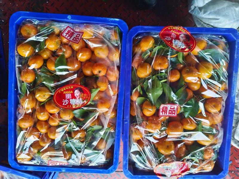广西砂糖橘产地直发品质保证新鲜发货大量现货一手货源
