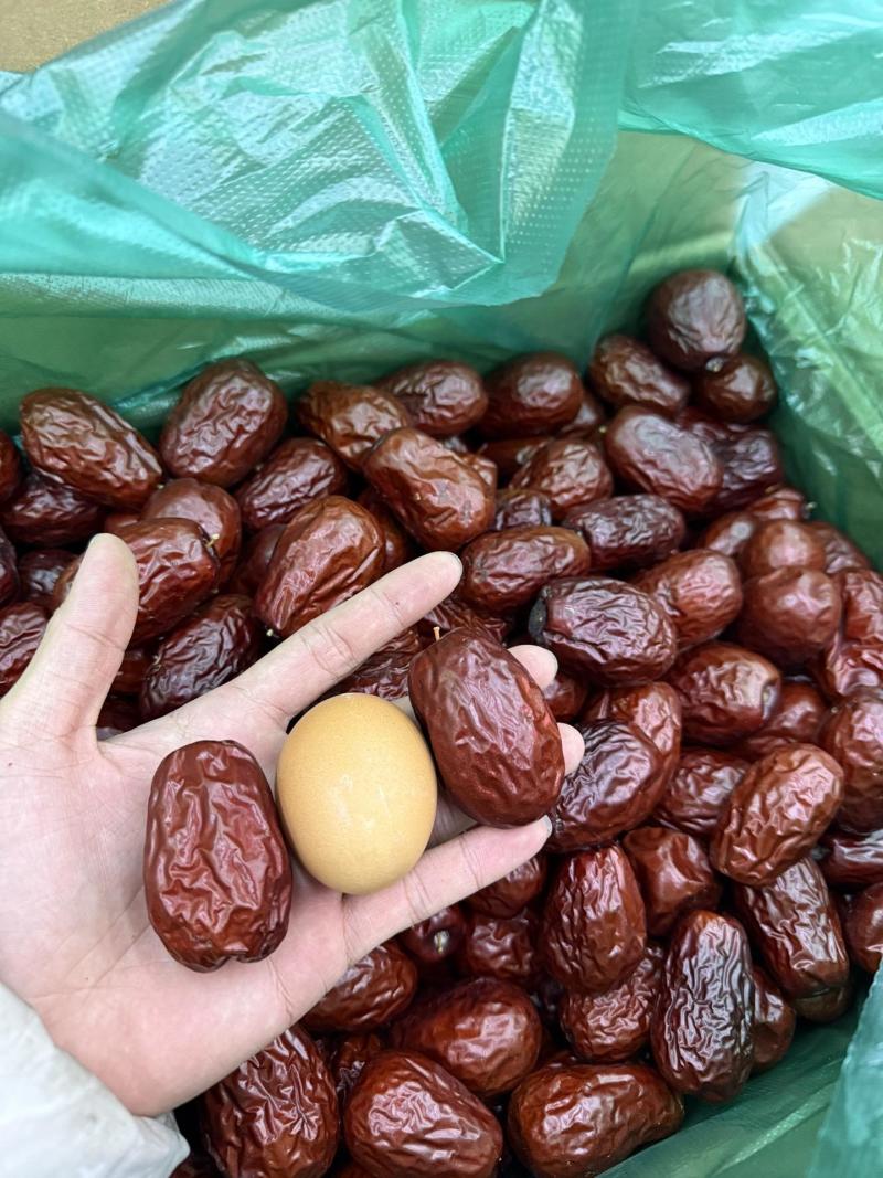 新疆红枣大量产地直发品质保证价格亲民一手货源充足