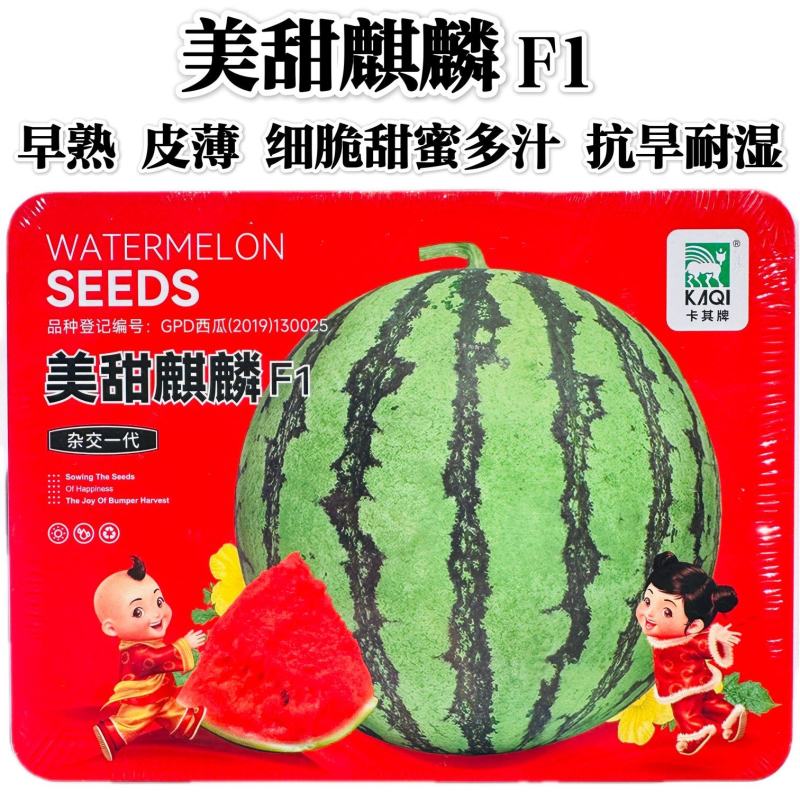美甜麒麟西瓜种子早熟皮薄抗旱耐湿酥脆甘甜多汁薄皮大果西瓜