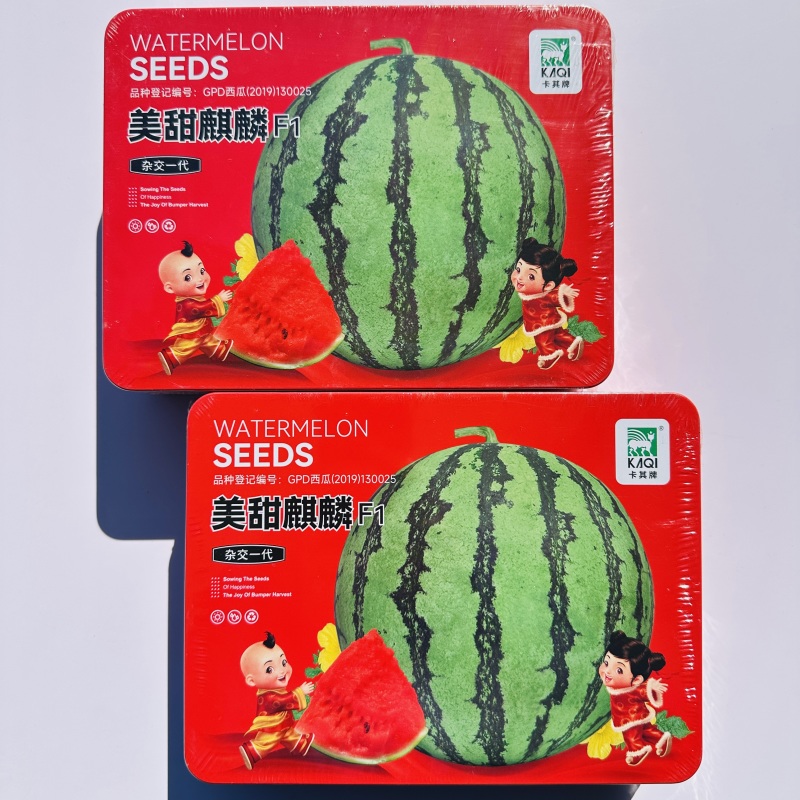 美甜麒麟西瓜种子早熟皮薄抗旱耐湿酥脆甘甜多汁薄皮大果西瓜