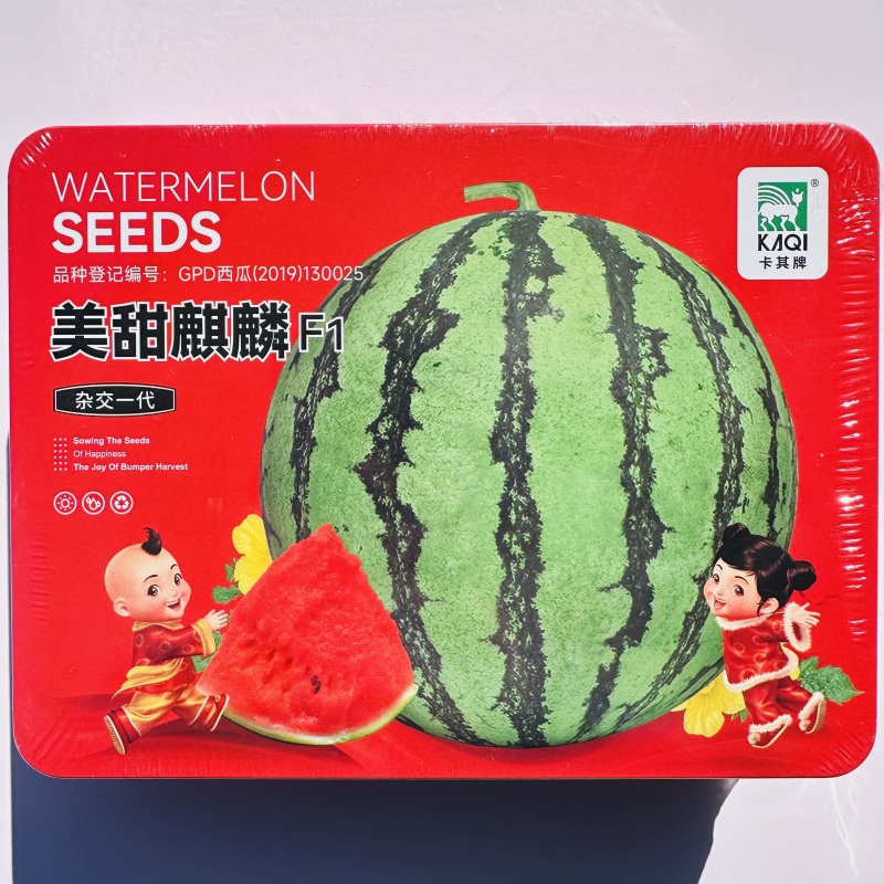 美甜麒麟西瓜种子早熟皮薄抗旱耐湿酥脆甘甜多汁薄皮大果西瓜