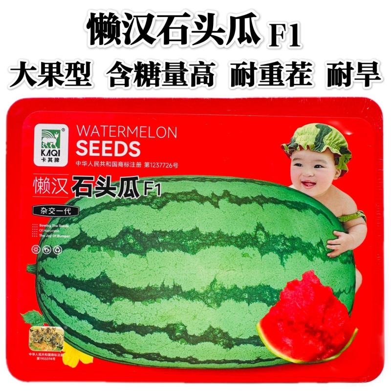 特大懒汉瓜种子石头瓜西瓜种子超甜耐重茬耐旱大果型西瓜种籽