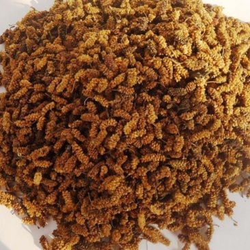 青桑椹，干货，量大价格走批发价，可长期供货，欢迎咨询！