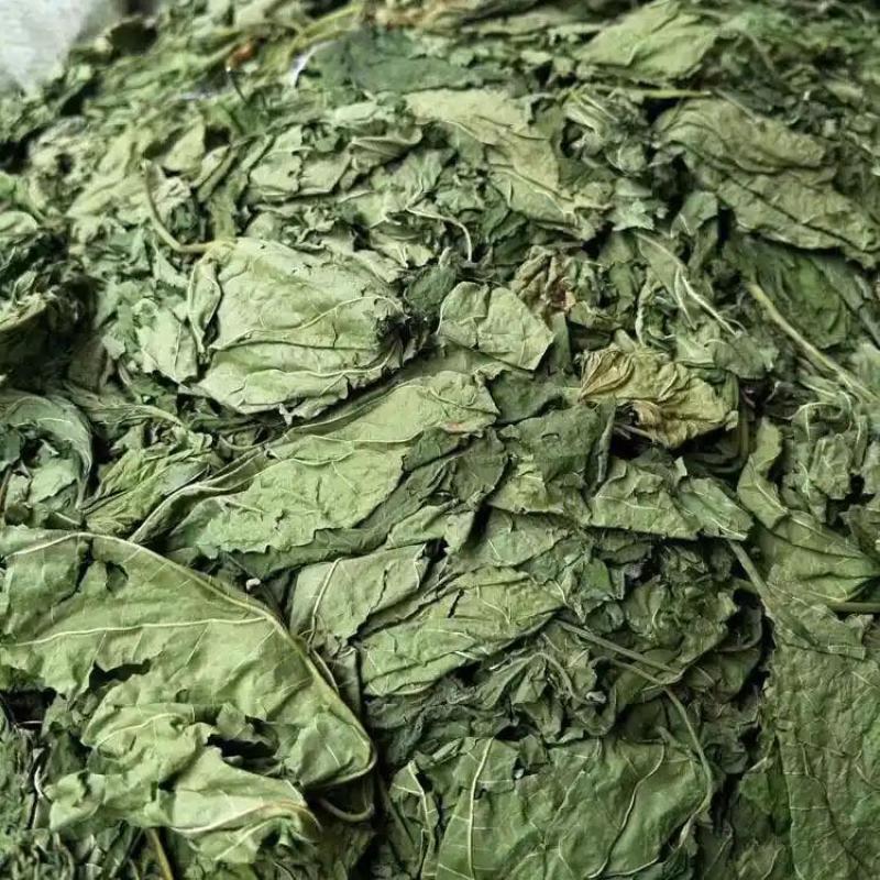青桑椹，干货，量大价格走批发价，可长期供货，欢迎咨询！