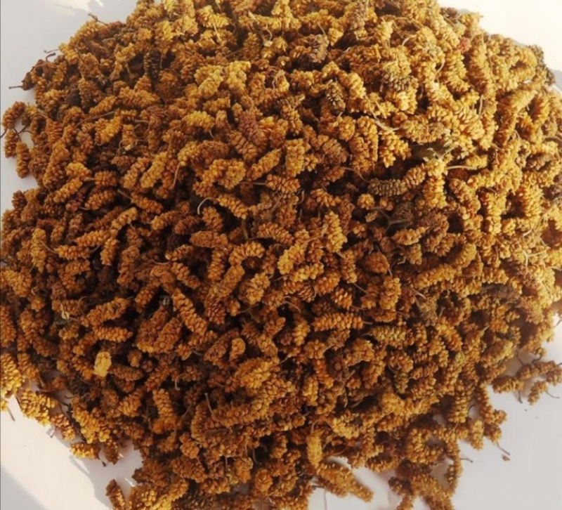 青桑椹，干货，量大价格走批发价，可长期供货，欢迎咨询！