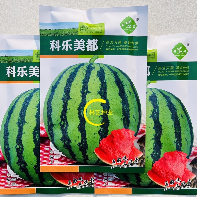 科乐美都西瓜种子抗病高产多茬收获耐裂耐运输农家大田西瓜种