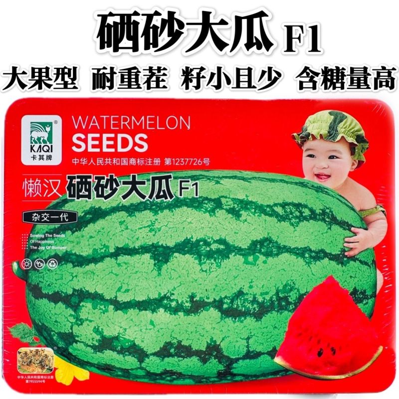 懒汉硒砂大瓜种子大果耐重茬硒砂瓜种子高糖质脆甘甜籽小西瓜