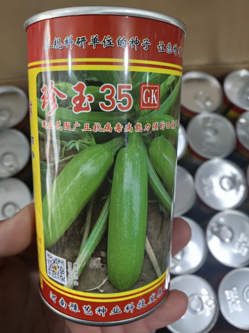 珍玉35西葫芦种子油绿翠绿耐热抗病毒露地大棚油葫芦春夏秋