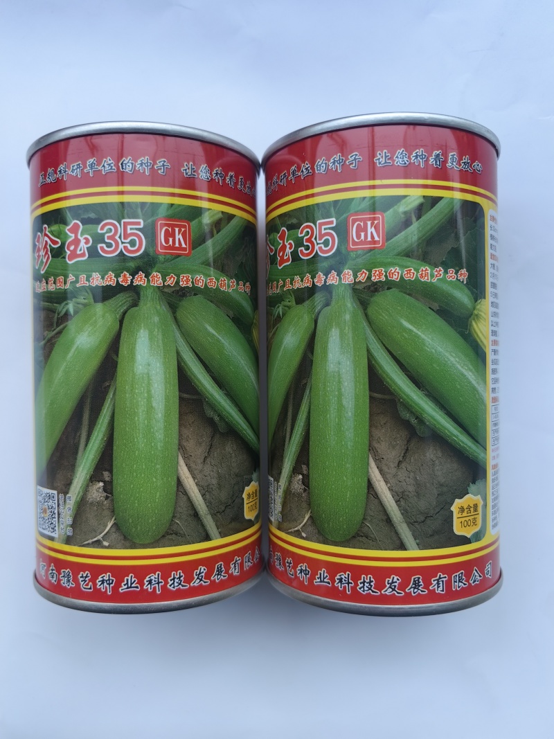 珍玉35西葫芦种子油绿翠绿耐热抗病毒露地大棚油葫芦春夏秋