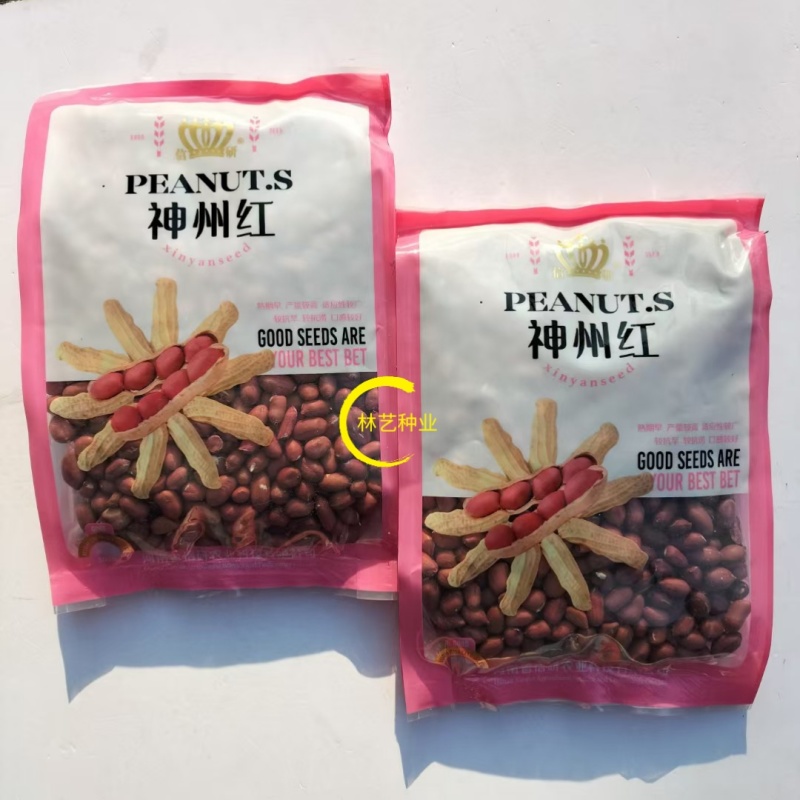 信研神州红花生种子早熟高产抗旱抗涝农家春夏优选四粒红花生