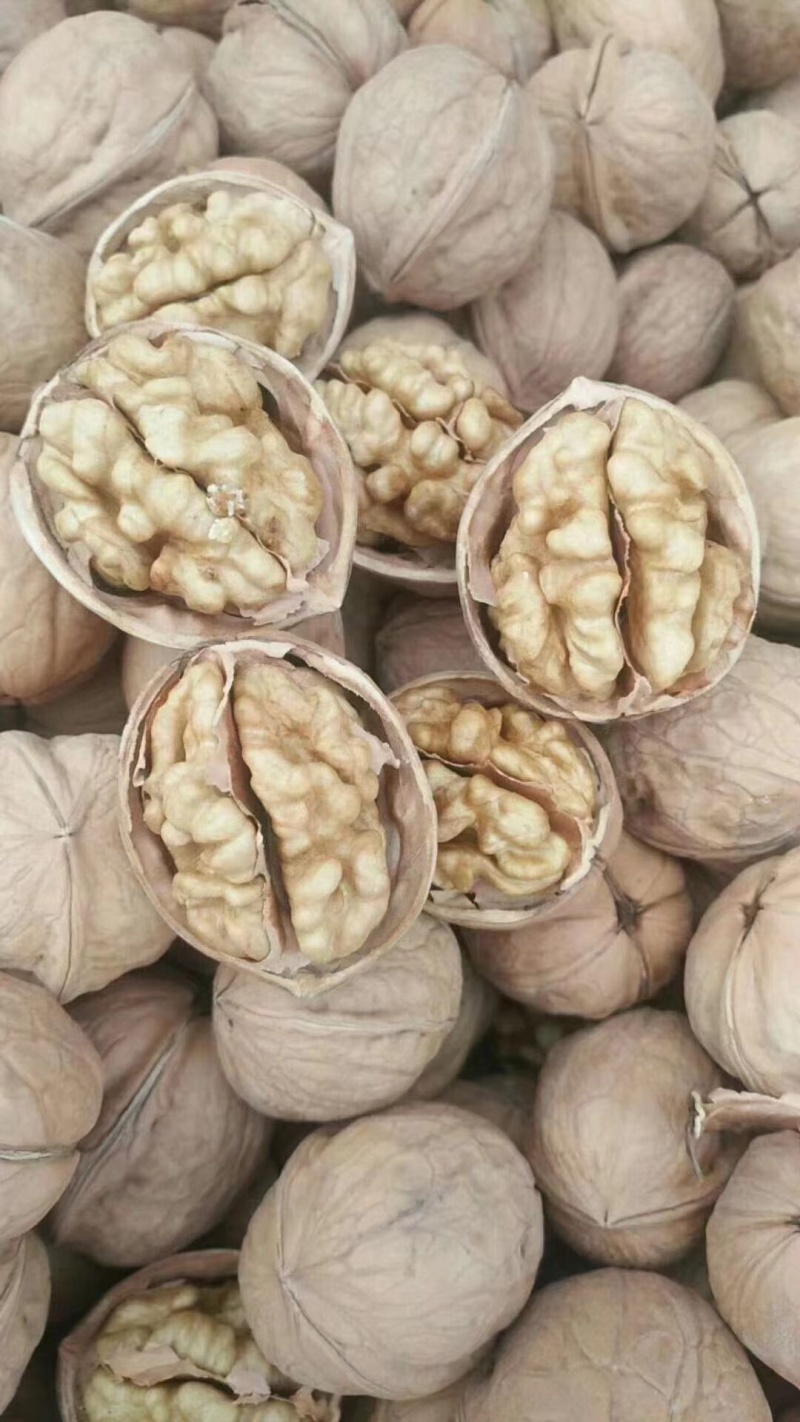 185纸皮核桃批发价格漂亮一手货源大量现货产地直发品质保