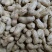 大粒罗汉308花生种子高油纯手工去壳净籽白沙罗汉果花生米