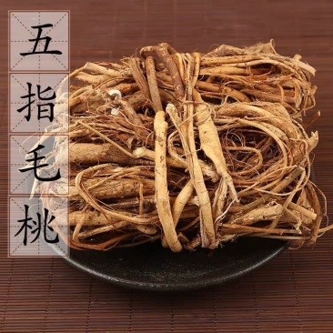 正宗五指毛桃中药材五指毛桃