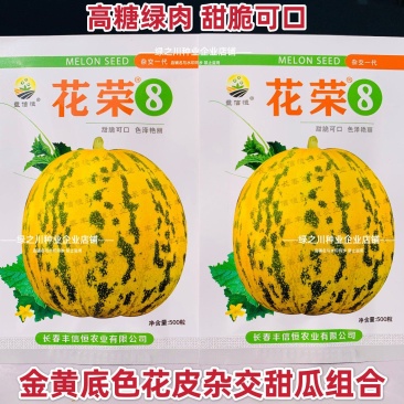 丰信恒花荣8号甜瓜种子特甜八里香甜瓜种子绿肉高糖香瓜种籽