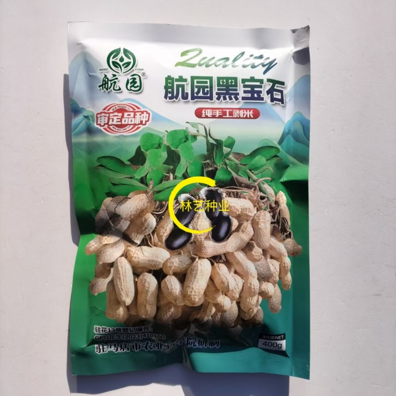 航园黑宝石花生种子高产早熟大粒黑花生种子春夏大田用种