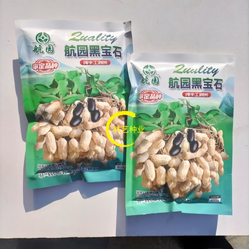 航园黑宝石花生种子高产早熟大粒黑花生种子春夏大田用种
