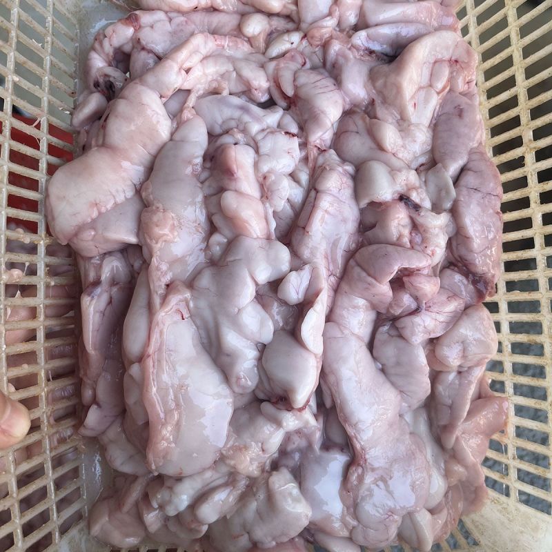 新鲜鲤鱼鱼白鱼杂活鱼现杀鲤鱼鱼油鲤鱼鱼白饭店商用冰鲜速冻