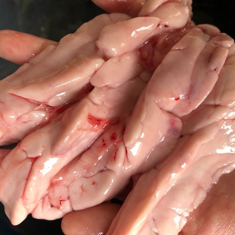 新鲜鲤鱼鱼白鱼杂活鱼现杀鲤鱼鱼油鲤鱼鱼白饭店商用冰鲜速冻