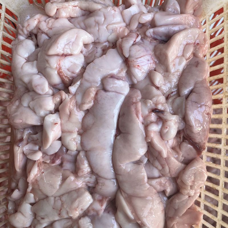 新鲜鲤鱼鱼白鱼杂活鱼现杀鲤鱼鱼油鲤鱼鱼白饭店商用冰鲜速冻